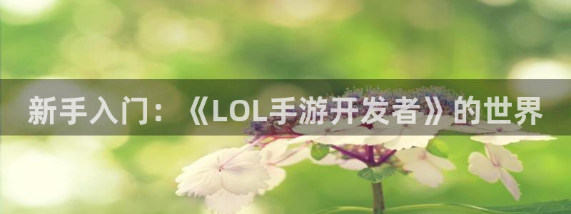 V8娱乐注册：新手入门：《LOL手游开发者》的世界