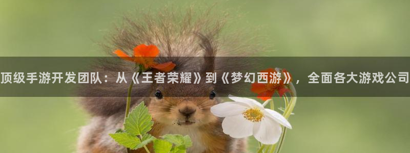V8娱乐平台：顶级手游开发团队：从《王者荣耀》到《梦幻西游》