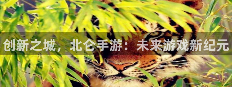 V8娱乐登录：创新之城，北仑手游：未来游戏新纪元