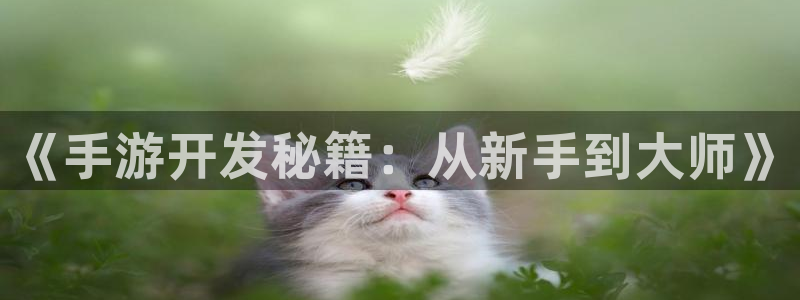 V8娱乐平台：《手游开发秘籍：从新手到大师》