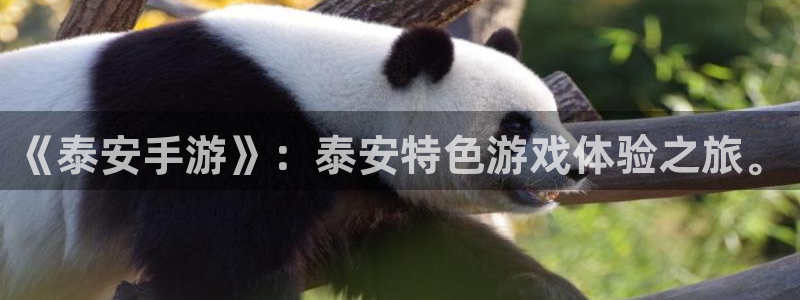 V8娱乐登录：《泰安手游》：泰安特色游戏体验之旅。