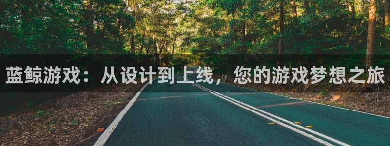 V8娱乐登录：蓝鲸游戏：从设计到上线，您的游戏梦想之旅