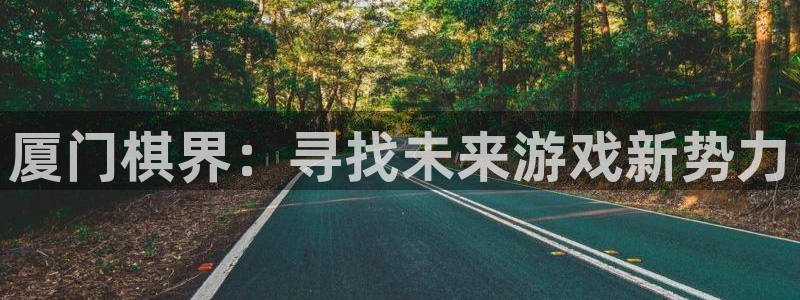 V8娱乐登录：厦门棋界：寻找未来游戏新势力