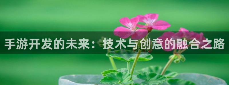 V8娱乐登录：手游开发的未来：技术与创意的融合之路