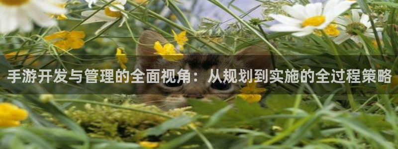 V8娱乐官网：手游开发与管理的全面视角：从规划到实施的全过程