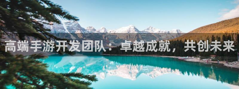 V8娱乐官网：高端手游开发团队：卓越成就，共创未来