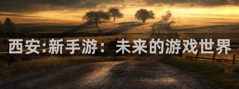 V8娱乐网：西安:新手游：未来的游戏世界