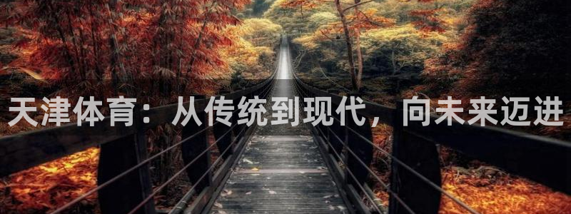 678体育官网：天津体育：从传统到现代，向未来迈进