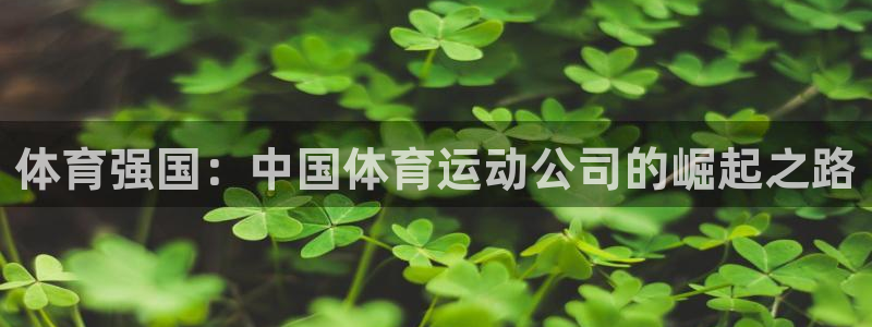 678体育：体育强国：中国体育运动公司的崛起之路