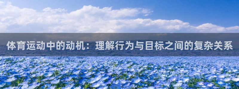 678体育知识：体育运动中的动机：理解行为与目标之间的复杂关系