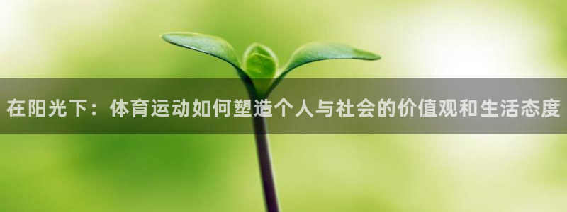 678体育：在阳光下：体育运动如何塑造个人与社会的价值观和生活态度