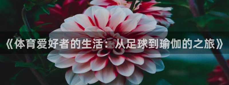678体育知识：《体育爱好者的生活：从足球到瑜伽的之旅》