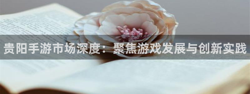 V8娱乐注册：贵阳手游市场深度：聚焦游戏发展与创新实践